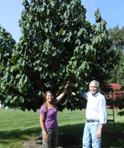 Corbin Paw Paw tree_2015