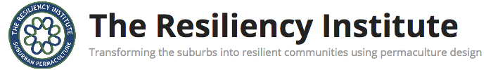 The Resiliency Institute