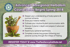 Advanced Bioregional Herbalism Course Series 2018 @ The Resiliency Institute | Naperville | Illinois | United States