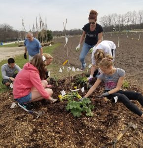 Join the TRIbe! Forest Garden Friends & Volunteer Kick-off! @ The Resiliency Institute | Naperville | Illinois | United States