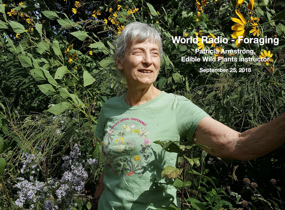 edible-wild-plants-pat-armstrong-TRI