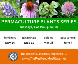 Permaculture Plants - Herbaceous Layer Plants: Medicinals @ The Resiliency Institute | Naperville | Illinois | United States