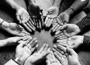 Wild Woman Project Circle 11/15 (Fall Session) *Virtual* @ The Resiliency Institute | Naperville | Illinois | United States